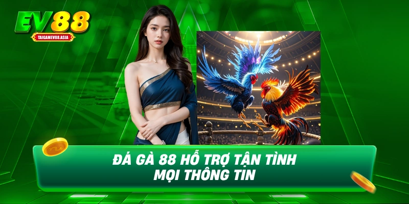 Đá gà 88 hỗ trợ tận tình mọi thông tin