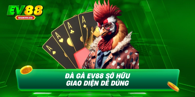 Đá gà EV88 sở hữu giao diện dễ dùng