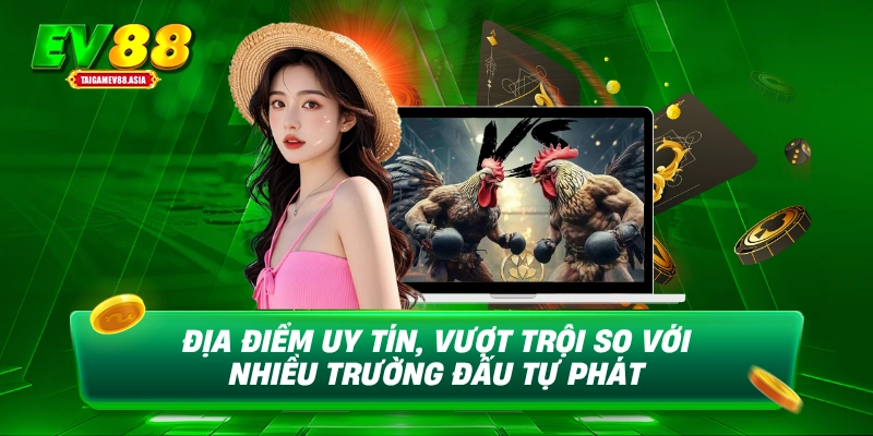 Địa điểm uy tín, vượt trội so với nhiều trường đấu tự phát