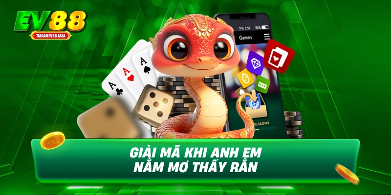 Giải mã khi anh em nằm mơ thấy rắn