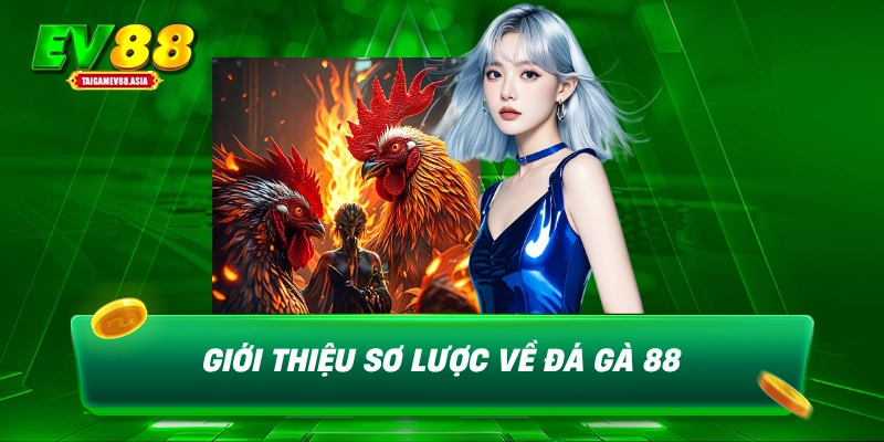Giới thiệu sơ lược về đá gà 88