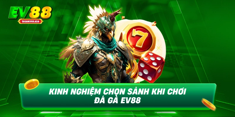 Kinh nghiệm chọn sảnh khi chơi đá gà EV88