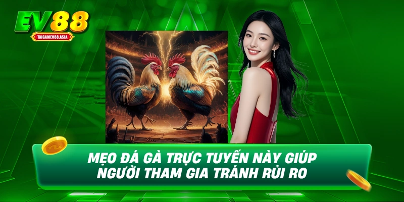 Mẹo đá gà trực tuyến này giúp người tham gia tránh rủi ro