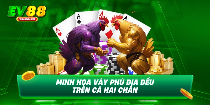 Minh họa vảy gà phủ địa đều trên cả hai chân