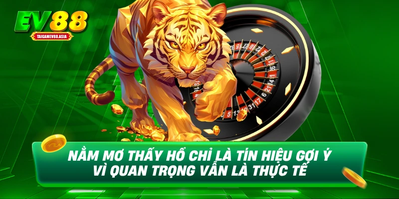 Nằm mơ thấy hổ chỉ là tín hiệu gợi ý vì quan trọng vẫn là thực tế