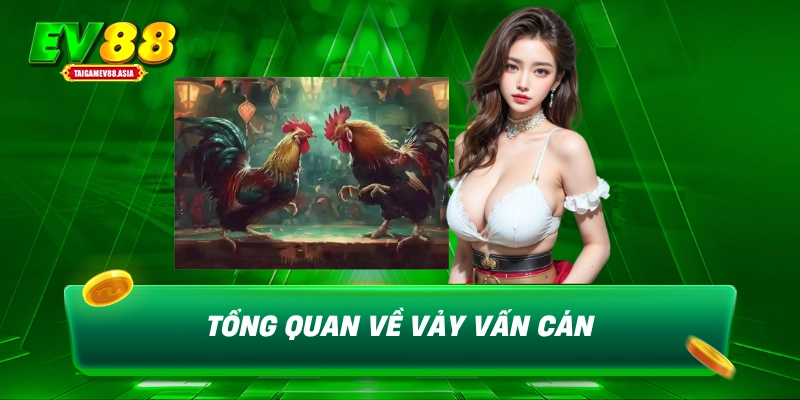 Tổng quan về vảy vấn cán